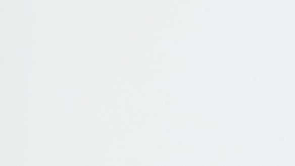 Novoferm Sektionaltor Oberfläche Noblesse (glatt)